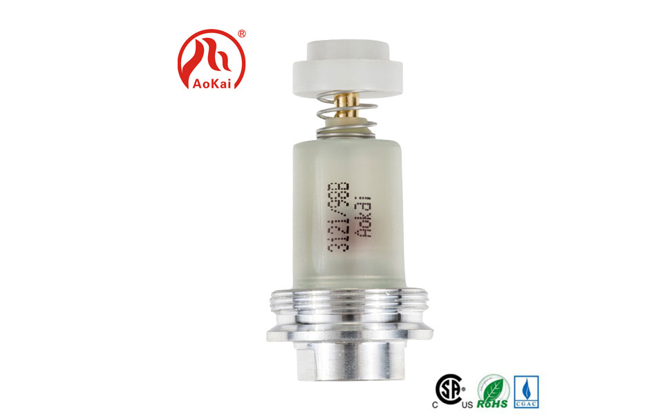 Yakajairika solenoid valve kugadzirisa
