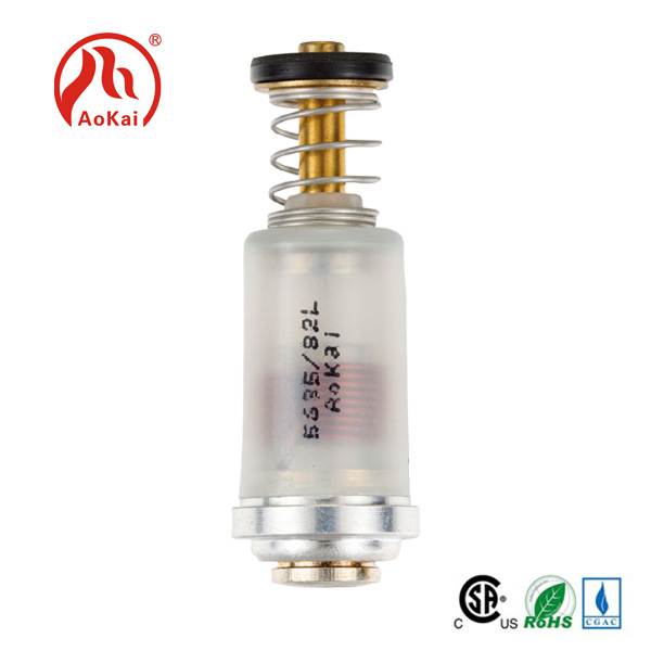 LPG uye NG Magnet Ketli Solenoid valve